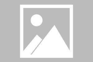 世界游泳接力赛换泳策略数据模型发布，游泳接力比赛临时换人